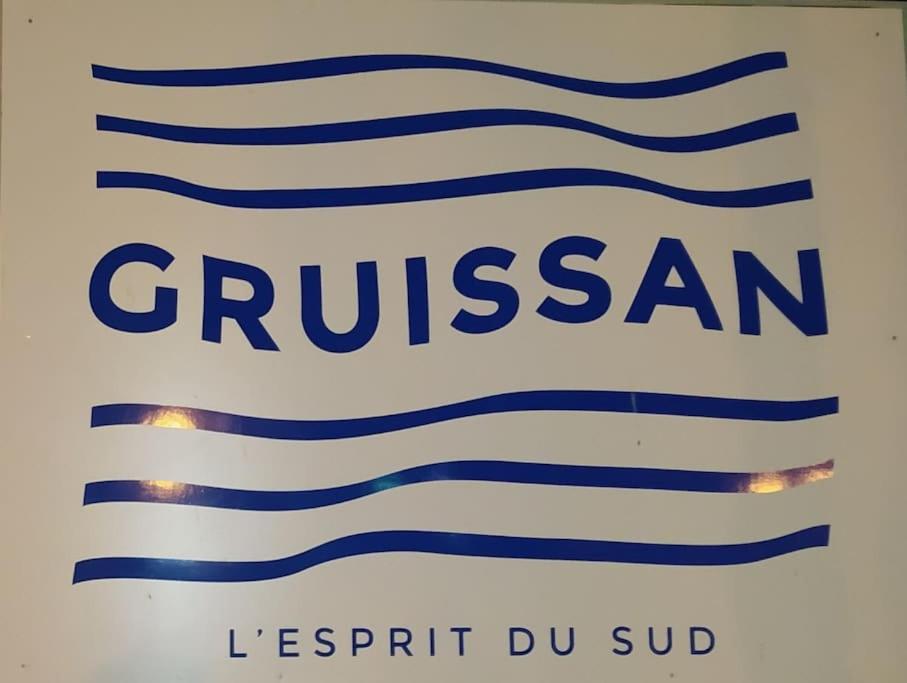 Joli Appartement Avec Grande Et Belle Terrasse, Au Pied De La Plage Du Grazel! 格吕桑 外观 照片